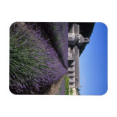 Senanque Abbey, Gordes, Vaucluse, Provence, Magnet (Horizontal)