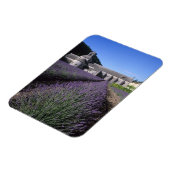 Senanque Abbey, Gordes, Vaucluse, Provence, Magnet (Linke Seite)