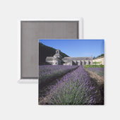 Senanque Abbey, Gordes, Vaucluse, Provence, Magnet (Vorderseite/Rückseite)