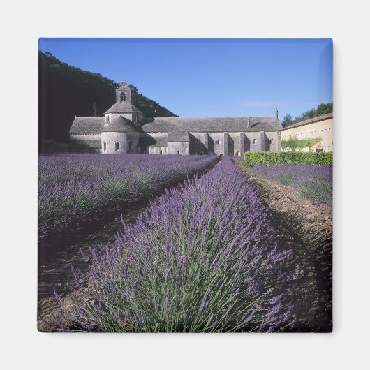 Senanque Abbey, Gordes, Vaucluse, Provence, Magnet (Vorne)