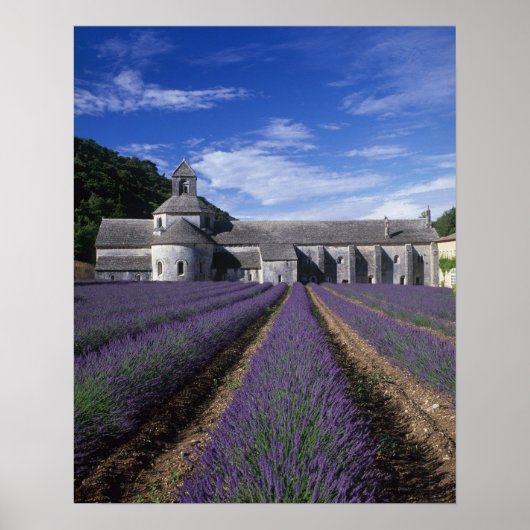 Senanque Abbey, Gordes, Vaucluse, Provence, Poster (Vorne)