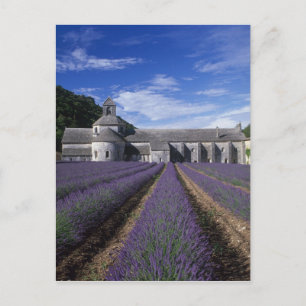 Senanque Abbey, Gordes, Vaucluse, Provence Postkarte