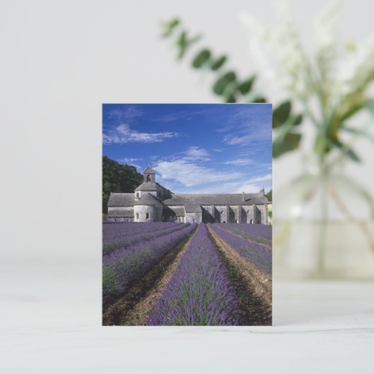 Senanque Abbey, Gordes, Vaucluse, Provence Postkarte (Stehend Vorderseite)