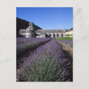 Senanque Abbey, Gordes, Vaucluse, Provence, Postkarte