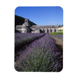 Senanque-Abtei, Gordes, Vaucluse, Provence, Magnet