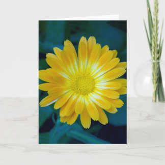 Send Flower to your friends that lasts. Karte