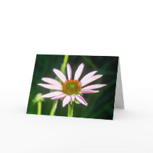 Sende Hoffnungen für Erholung