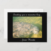 Senden eines Manatee Hug von der Postkarte Florida (Vorne/Hinten)