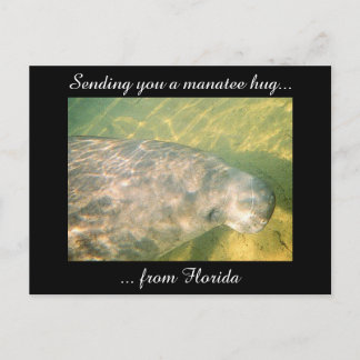 Senden eines Manatee Hug von der Postkarte Florida