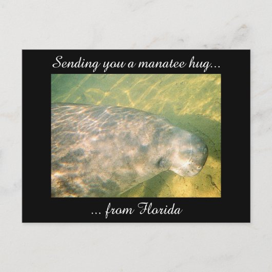 Senden eines Manatee Hug von der Postkarte Florida (Vorderseite)