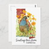 Senden von Liebe aus Kalifornien Postkarte (Vorne/Hinten)