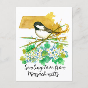Senden von Liebe Massachusetts Chickadee Mayflower Postkarte