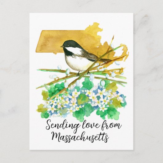 Senden von Liebe Massachusetts Chickadee Mayflower Postkarte (Vorderseite)