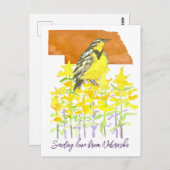 Senden von Liebe Nebraska Meadowlark Goldenrod Blu Postkarte (Vorne/Hinten)