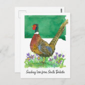 Senden von Liebe South Dakota Pheasant Pasque Blum Postkarte (Vorne/Hinten)