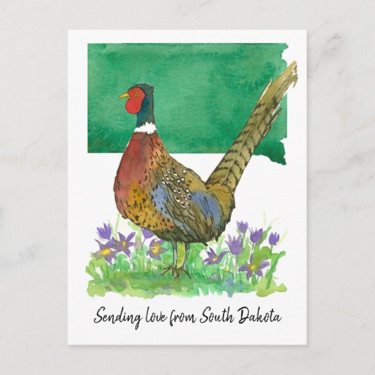 Senden von Liebe South Dakota Pheasant Pasque Blum Postkarte (Vorderseite)