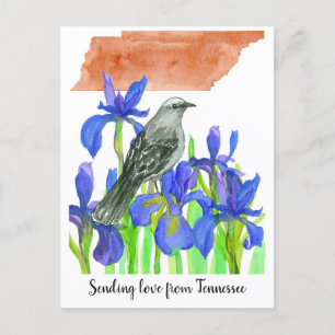 Senden von Liebe Tennessee Mockingbird Iris Blume Postkarte