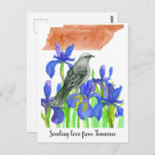 Senden von Liebe Tennessee Mockingbird Iris Blume Postkarte (Vorne/Hinten)