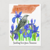 Senden von Liebe Tennessee Mockingbird Iris Blume Postkarte (Vorderseite)