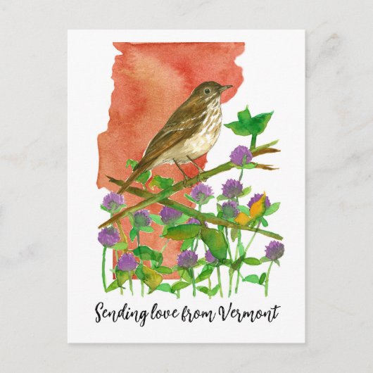 Senden von Liebe von Vermont Bird Clover Postkarte (Vorderseite)