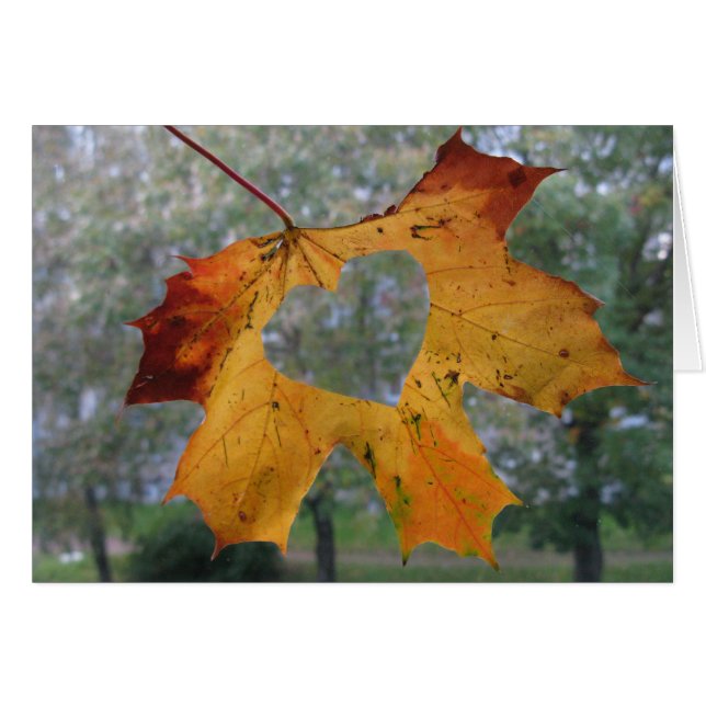 Senden von Lieben (Vorderseite (Horizontal))