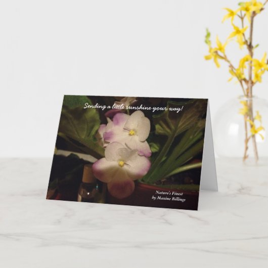"SENDING A LITTLE SUNSHINE YOUR WAY" GREETING CARD KARTE (Gelbe Blume)