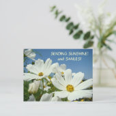 SENDING SUNSHINE & Lächeln! Valentine Feiertagspostkarte (Stehend Vorderseite)