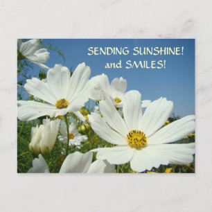 SENDING SUNSHINE & Lächeln! Valentine Feiertagspostkarte