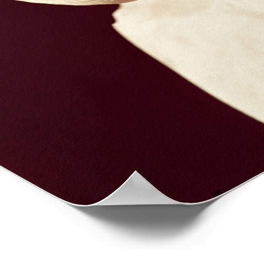 Seneca-Büste Poster (Ecke)