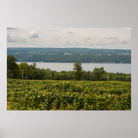 Seneca Lake and Vineyards, New York Poster (Vorne)