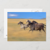 Seneca, Oregon, USA Postkarte (Vorne/Hinten)