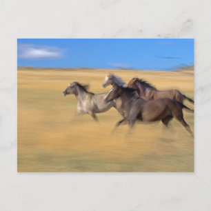 Seneca, Oregon, USA Postkarte