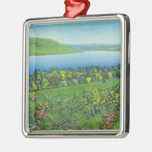 Seneca-Punkt-Ansicht des Sees Silbernes Ornament (Links)