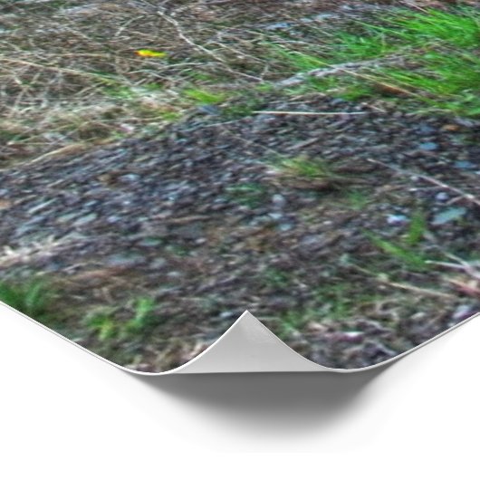 Seneca Rocks HDR. Poster (Ecke)