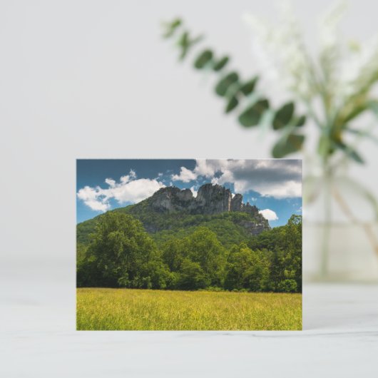 Seneca Rocks im Sommer, West Virginia Postkarte (Stehend Vorderseite)