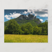 Seneca Rocks im Sommer, West Virginia Postkarte (Vorderseite)