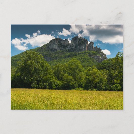 Seneca Rocks im Sommer, West Virginia Postkarte (Vorderseite)