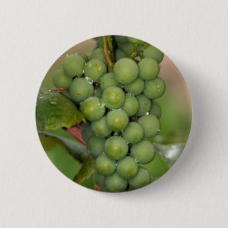 Seneca-Trauben Button