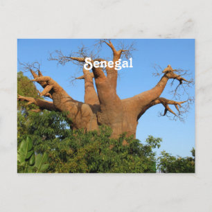 Senegal (Begriffsklärung) Postkarte