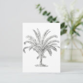 Senegal Date Palm Postkarte (Stehend Vorderseite)