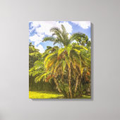 Senegal Date Palm Stretched Canvas Print Leinwanddruck (Vorderseite)