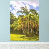 Senegal Date Palm Stretched Canvas Print Leinwanddruck (Insitu (Holzboden))