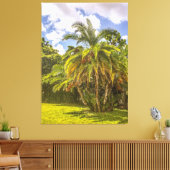 Senegal Date Palm Stretched Canvas Print Leinwanddruck (Insitu (Wohnzimmer))