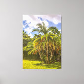 Senegal Date Palm Stretched Canvas Print Leinwanddruck (Vorderseite)