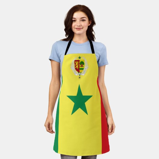 Senegal-Fahne Schürze (Getragen)