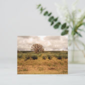 Senegal Landschaft Postkarte (Stehend Vorderseite)