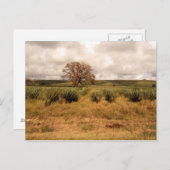 Senegal Landschaft Postkarte (Vorne/Hinten)