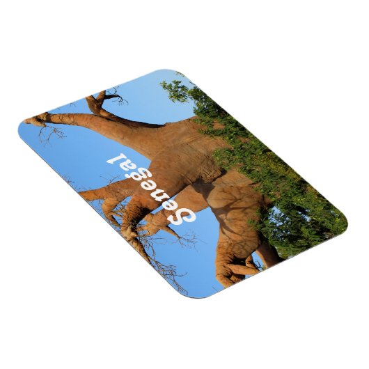 Senegal Magnet (Rechte Seite)