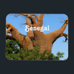Senegal Magnet<br><div class="desc">Landschaft im Senegal.</div>