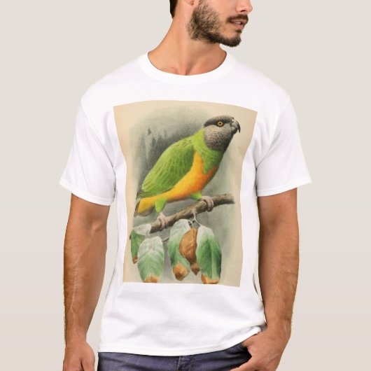 Senegal Papagei, erwachsener Mann T-Shirt (Vorderseite)